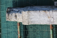 manquante